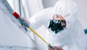 Best Residential Pest Control  in Keego Harbor, MI